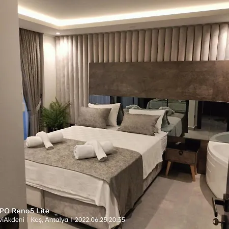 Kazarman Villa *